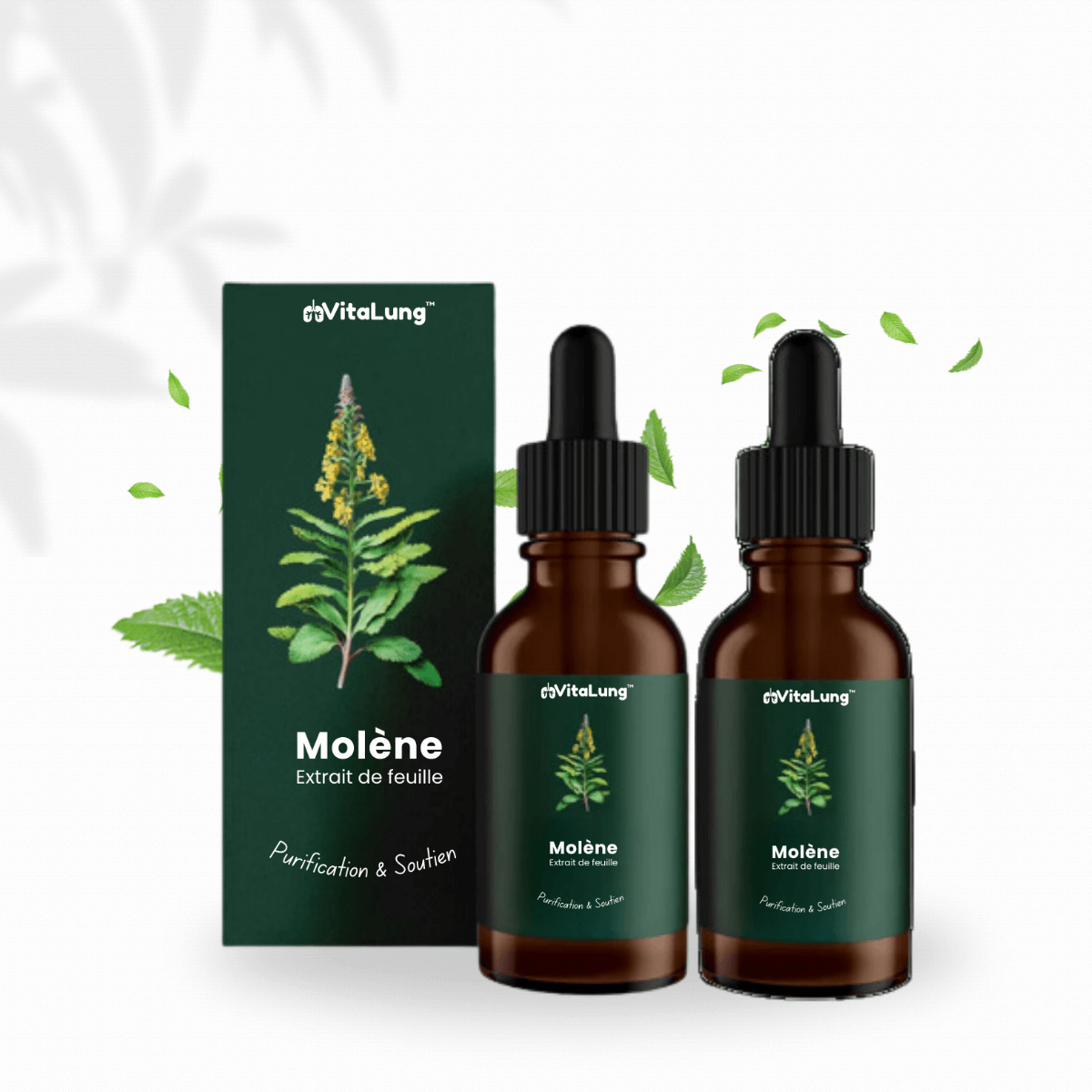 2x VitaLung CA