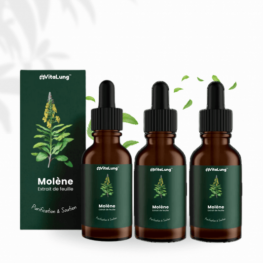 3x VitaLung CA