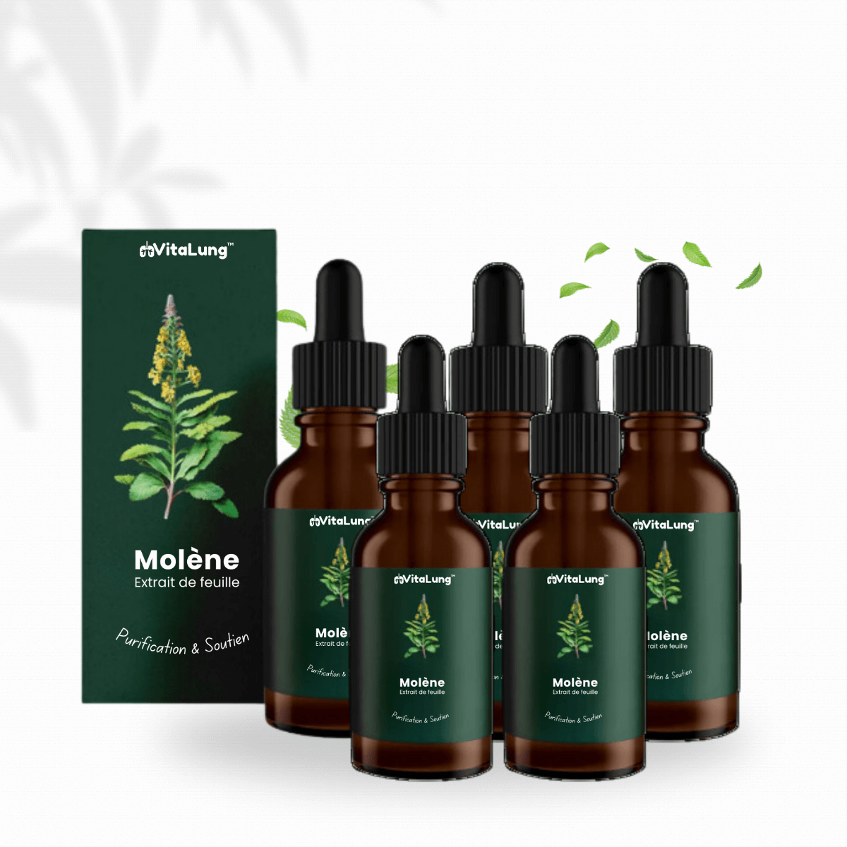 5x VitaLung CA